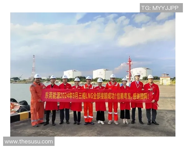 LNG团队协作展现出色实力大师赛点评分析其成功之道