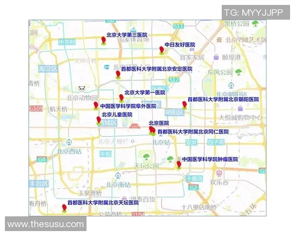 北京乒乓球队控制策略分析与热点解读探讨