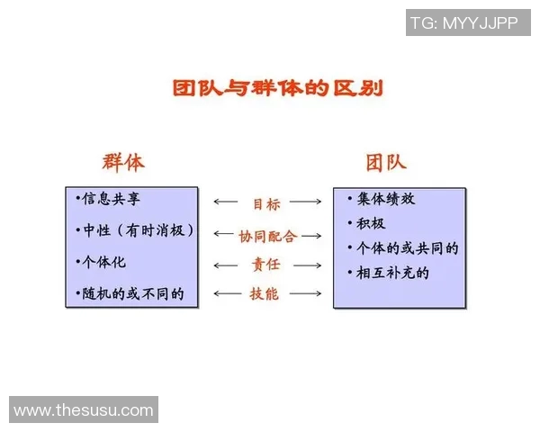 科学篮球训练：提升团队配合的有效方法与技巧探讨