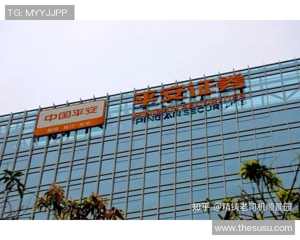 成都排球队在全国排球意识排行榜中荣登第九名展现出强劲实力与潜力